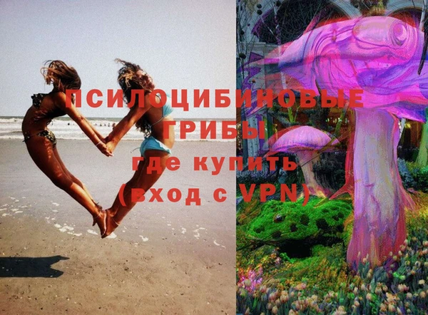 шишки Коряжма