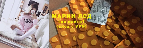 шишки Коряжма