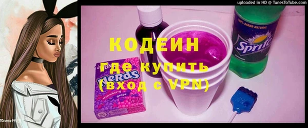 шишки Коряжма