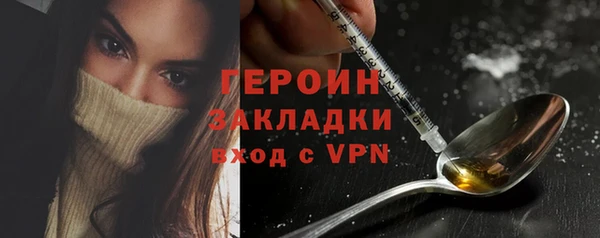 шишки Коряжма