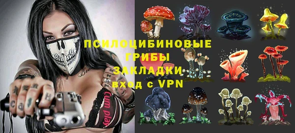 ешки Костерёво
