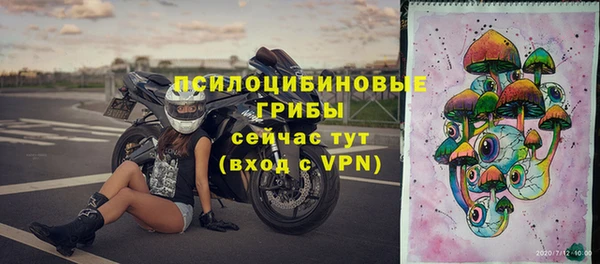 герыч Корсаков
