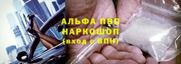 герыч Корсаков