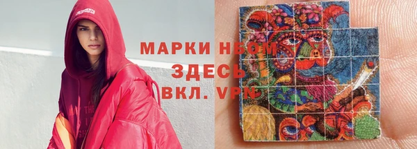 шишки Коряжма