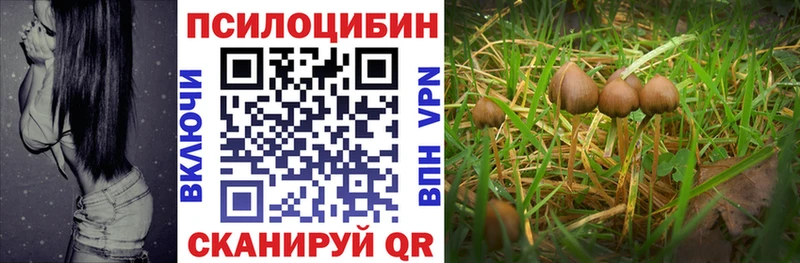Галлюциногенные грибы мухоморы  Купить закладки  Ветлуга 
