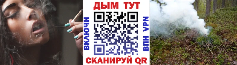Купить где  Ветлуга  Шишки марихуана OG Kush 